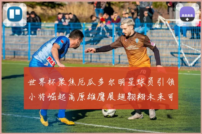 世界杯聚焦厄瓜多尔明星球员引领小将崛起高原雄鹰展翅翱翔未来可期