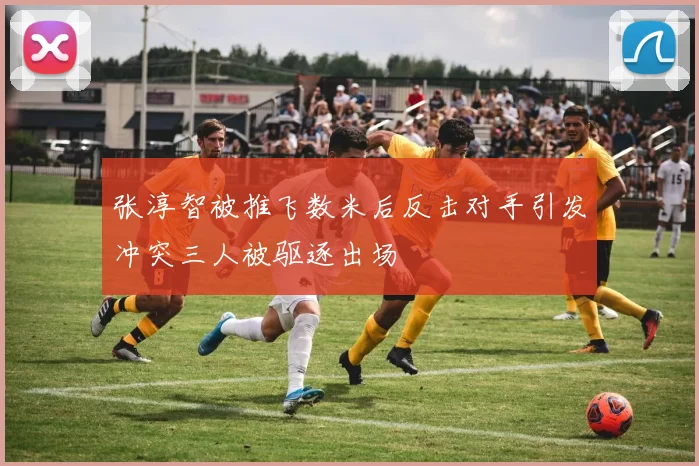 张淳智被推飞数米后反击对手引发冲突三人被驱逐出场