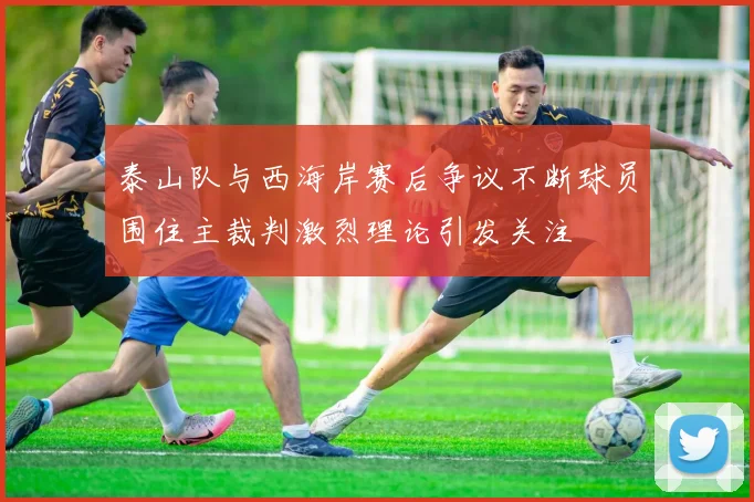 泰山队与西海岸赛后争议不断球员围住主裁判激烈理论引发关注